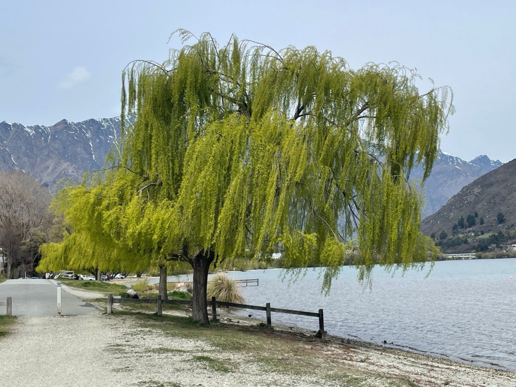 If you love&nbsp;them,