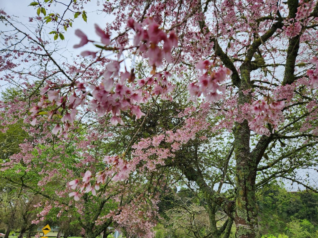 어른이 된다는건